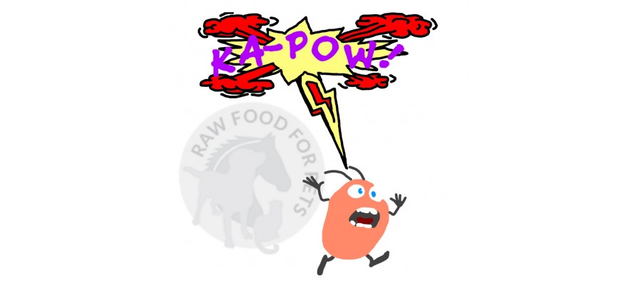Bugs Away! Repel Insects the Natural Way … Bugs Away! Repel Insects the Natural Way …