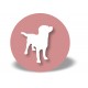 Showing Image for Dog Supplies, Food and Accessories | Raw Food for Pets Alternate Image for Dog Supplies, Food and Accessories | Raw Food for Pets