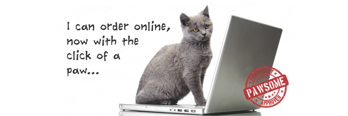 Kitty Online