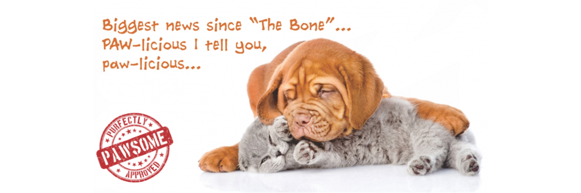 Pups and Bones